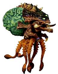 Octa Brain