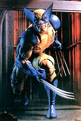 Wolverine